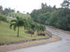 Bintan Lagoon Resort 